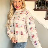 Long Sleeve Crew Neck Multi Color Sweater