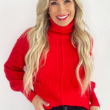 Turtle Neck Knit Sweater